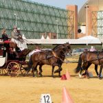 IV Concurso de Enganches de Tradición