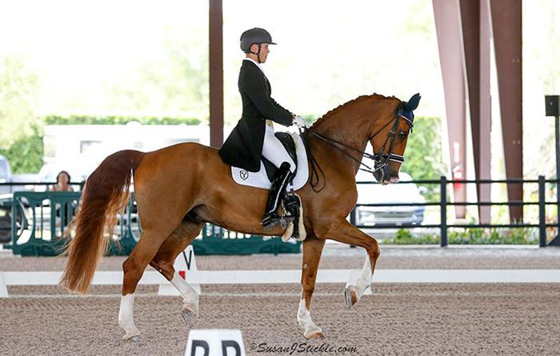 Pablo Gómez Molina en el CDI3* de Wellignton