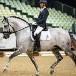 Alejandro Oliva en SICAB 2019 (Foto: Sicab)
