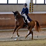 Alejandro Oliva en CECYL
