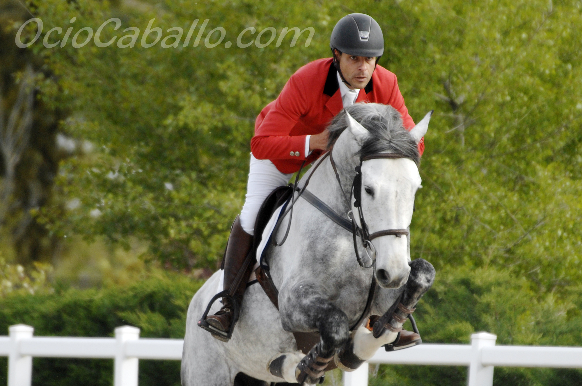 Jorge Ruiz de Eguilaz con ICE BLINK DEL MASET