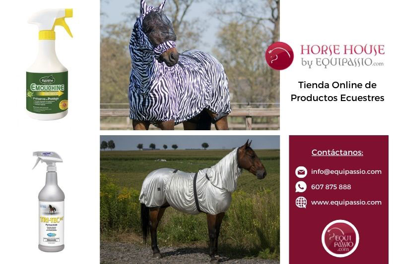 Pony Equitación Transpirable Protección contra Moscas Eczema Combo Verano Manta Manta Hojas 