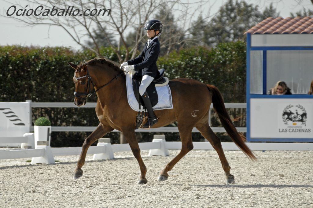 Katia Smirnova con "Custo CAD"