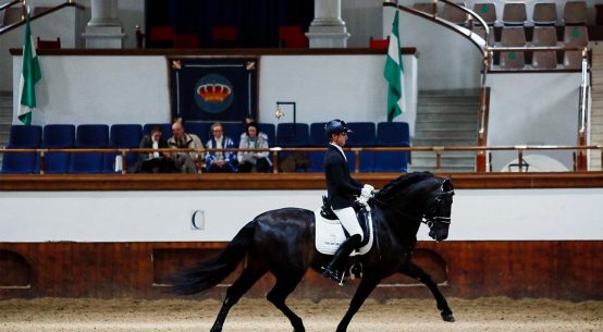 Marcos Márquez Reyes con “Granuja de Entrellanos”