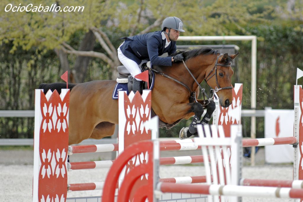 Marcelo Chirico y “Acrobat Van’t Laar Z”