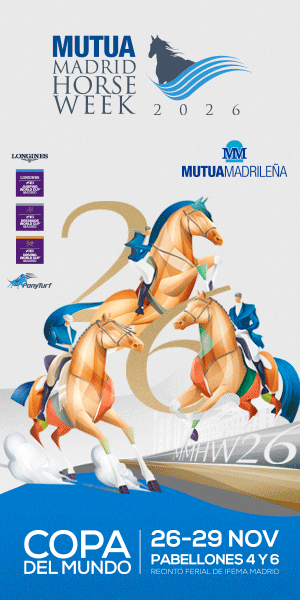 Oxer Mega